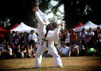Martial Arts Demonstration 2009 • photo Greg Masuda